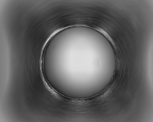X0000087320955200704200736