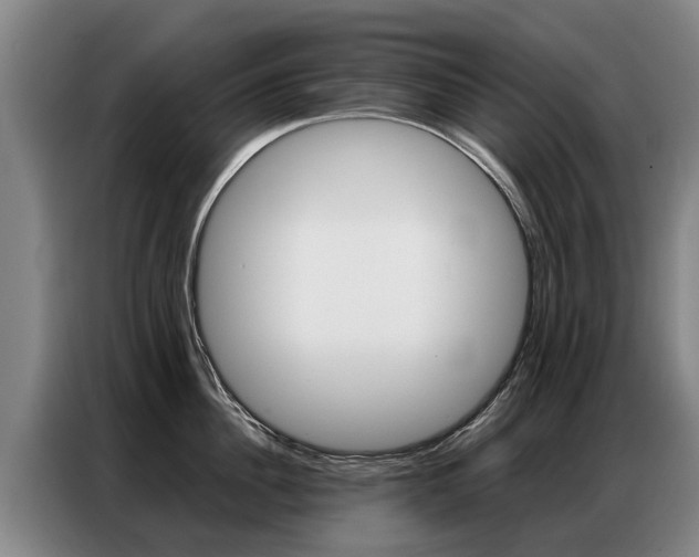 X0000087320956200704200736