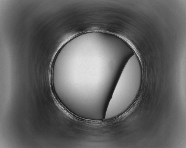 X0000087320957200704200736