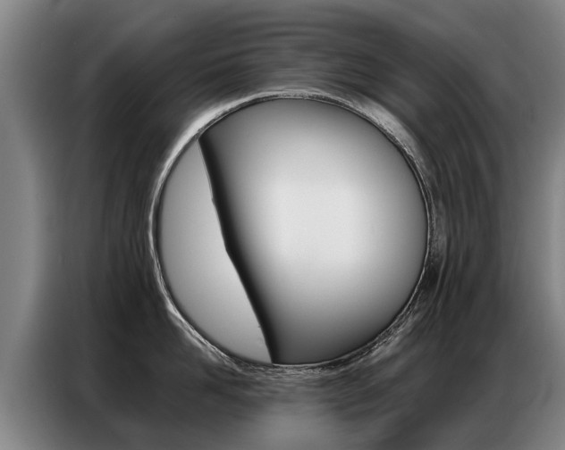 X0000087320958200704200736