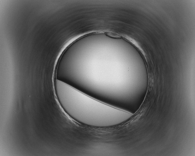 X0000087320959200704200736