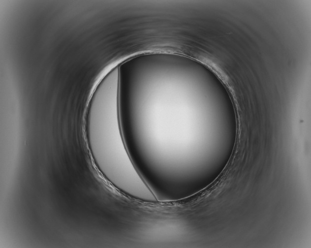 X0000087320960200704200736