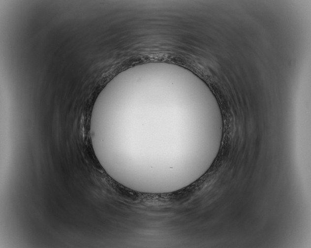 X0000087320962200704200736