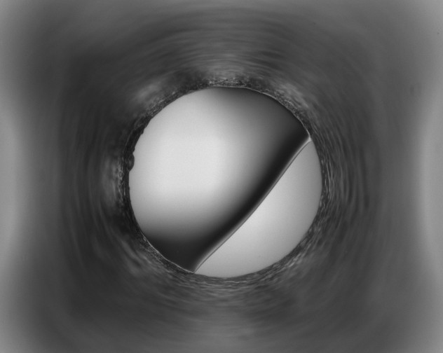 X0000087320964200704200736