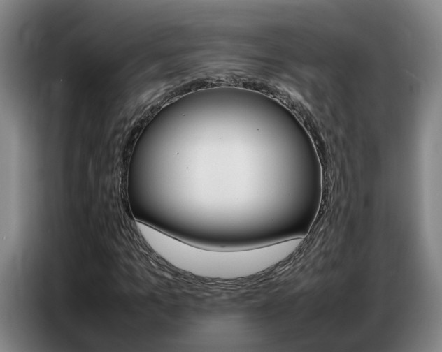 X0000087320965200704200736