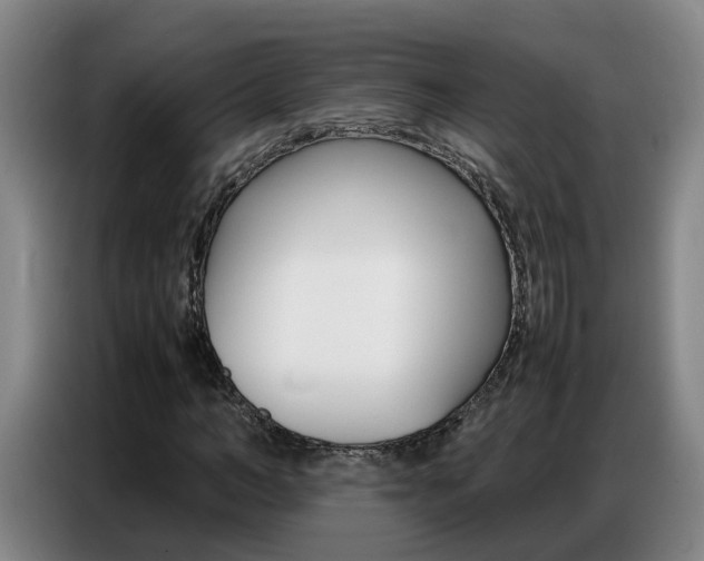 X0000087320966200704200736
