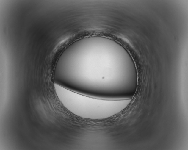 X0000087320967200704200736