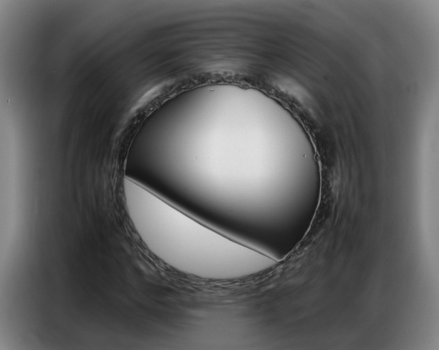 X0000087320968200704200736