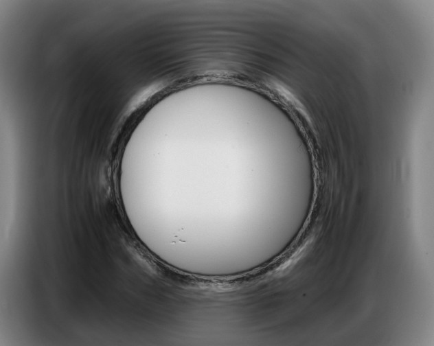 X0000087320970200704200736