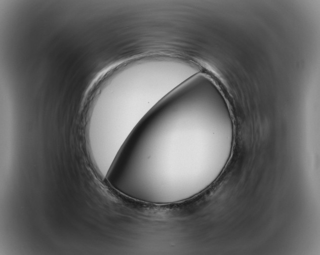 X0000087320971200704200736