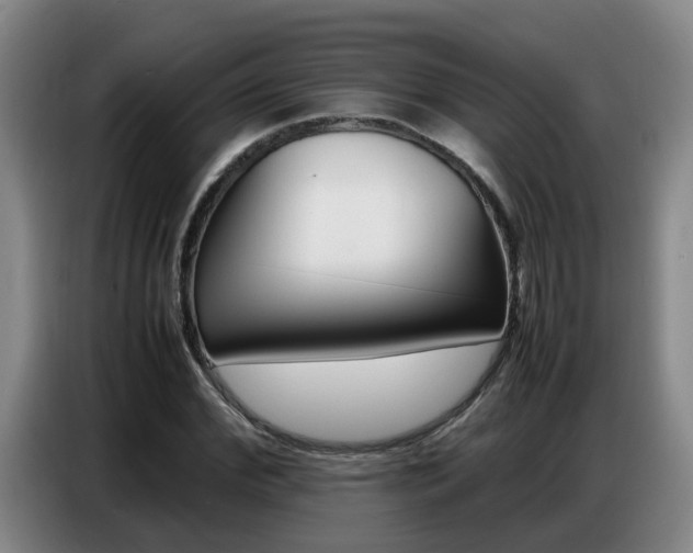 X0000087320972200704200736