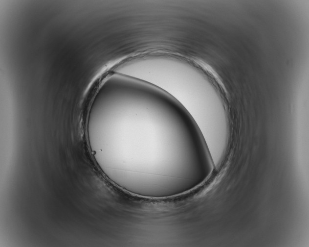X0000087320973200704200735