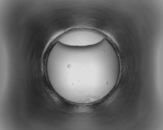 X0000087320974200704200735