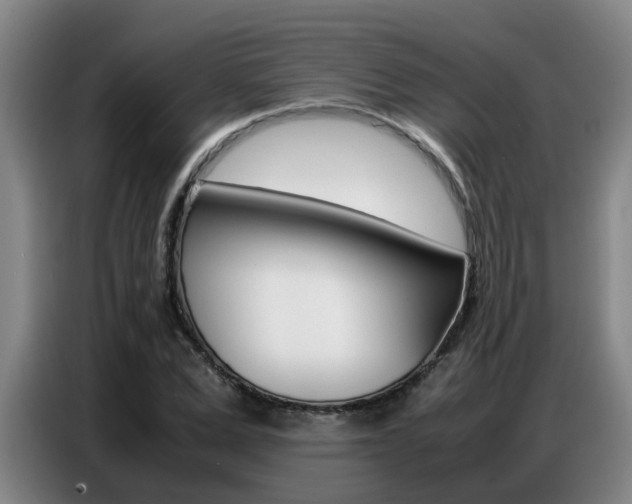 X0000087320975200704200735