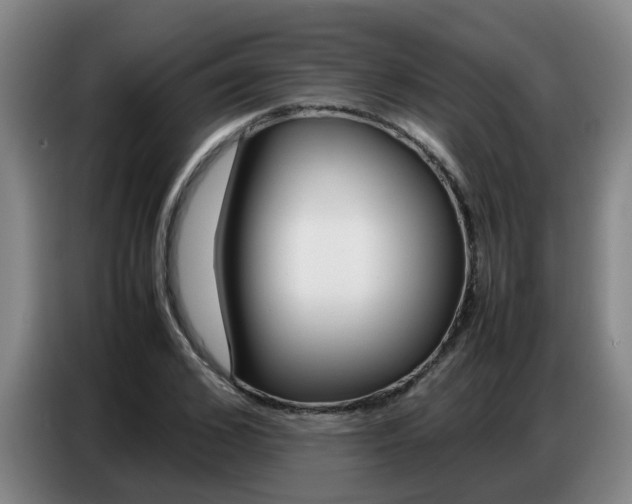 X0000087320976200704200735