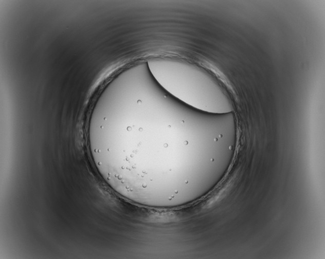 X0000087320978200704200735