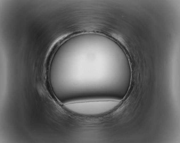 X0000087320979200704200735
