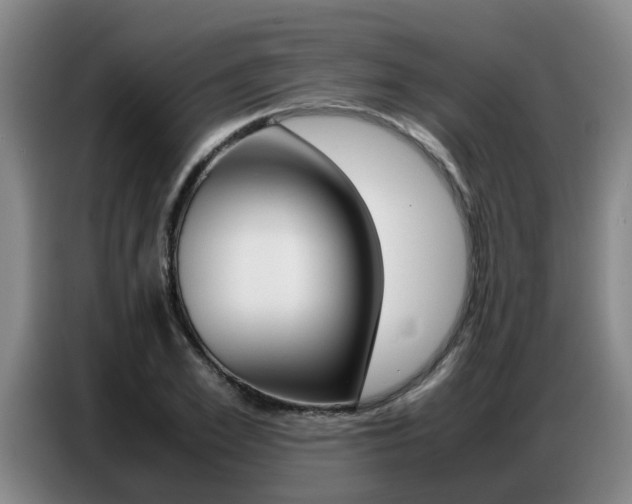 X0000087320981200704200735