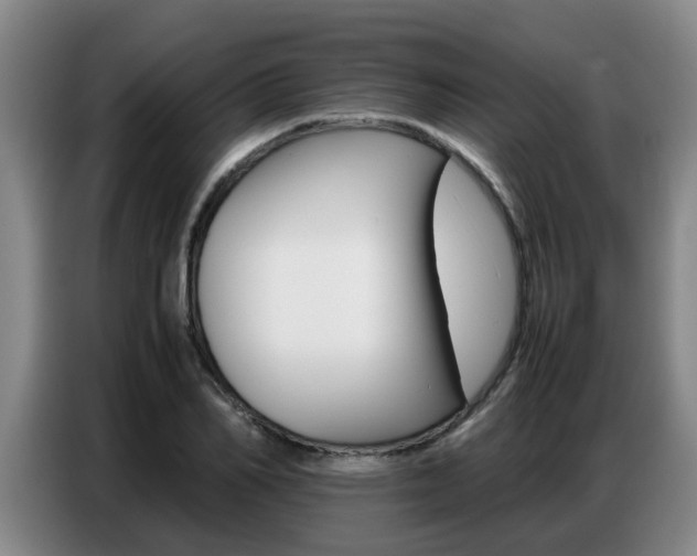 X0000087320982200704200735
