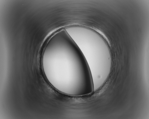 X0000087320983200704200735