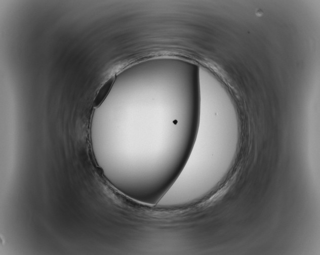 X0000087320985200704200735