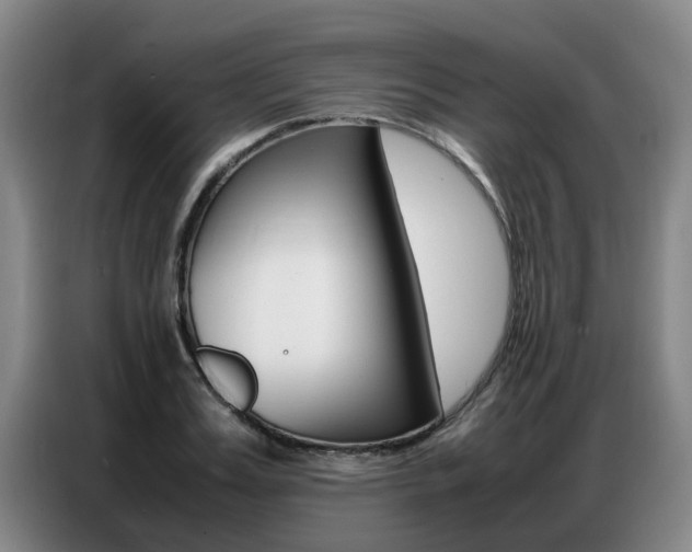 X0000087320987200704200735