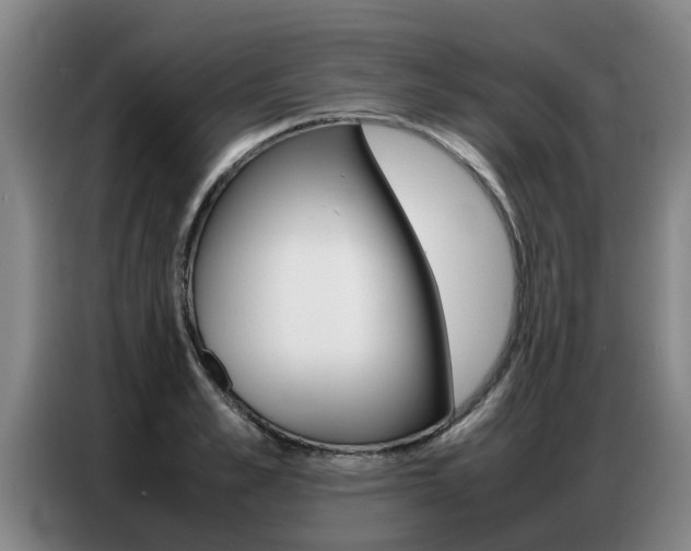 X0000087320989200704200735