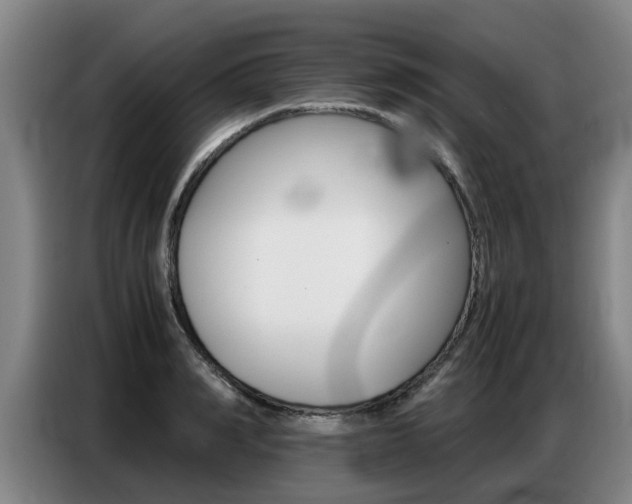 X0000087320990200704200735