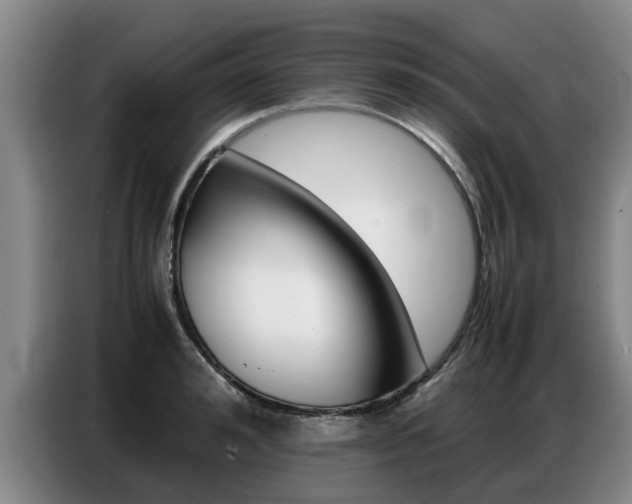X0000087320992200704200735