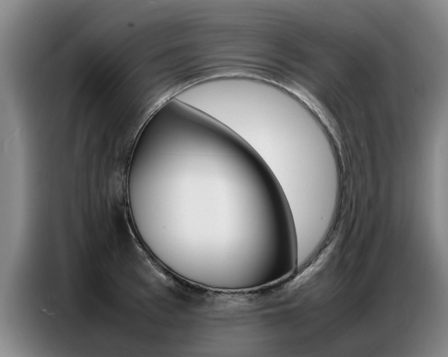 X0000087320993200704200735