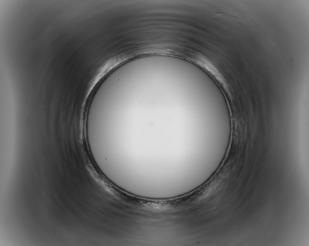 X0000087320994200704200735