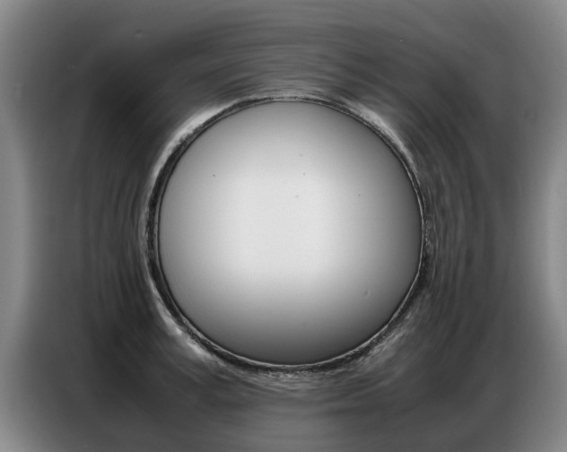 X0000087320995200704200735