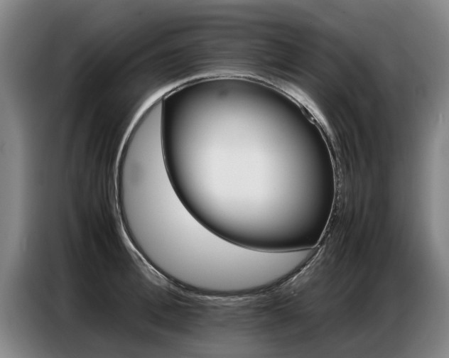 X0000087320996200704200735
