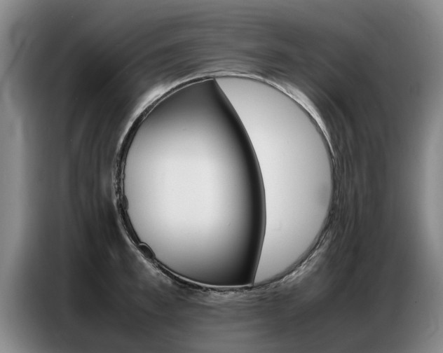X0000087320997200704200735