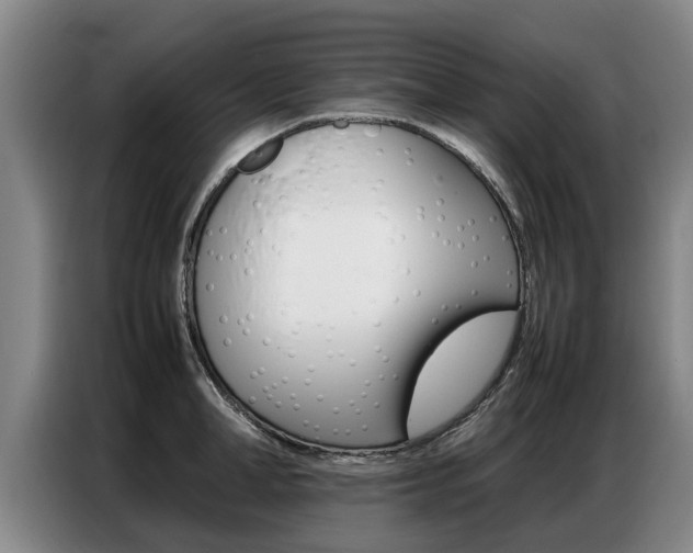 X0000087320998200704200735