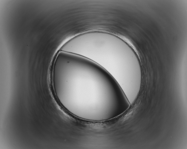 X0000087320999200704200735