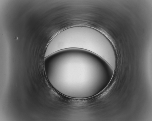 X0000087321001200704200735