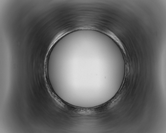 X0000087321002200704200735