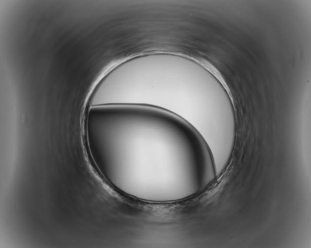 X0000087321005200704200735