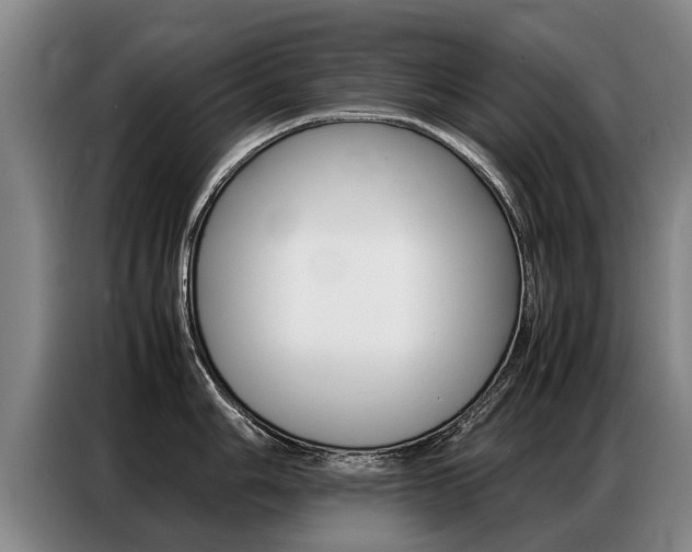 X0000087321006200704200735