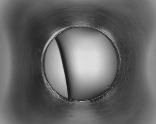 X0000087321008200704200735
