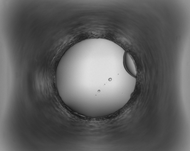 X0000087321009200704200734