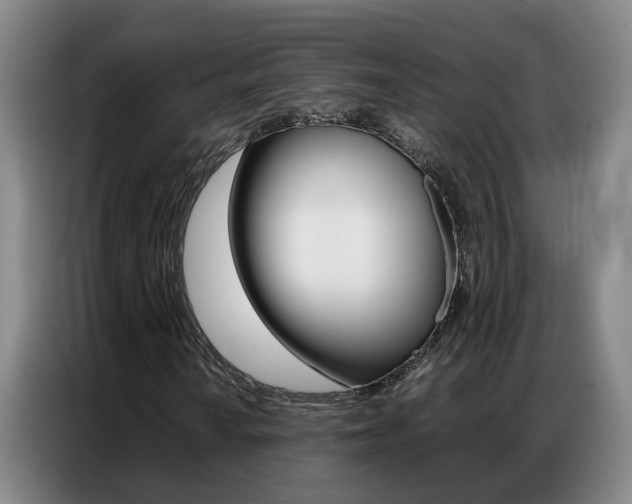 X0000087321010200704200734