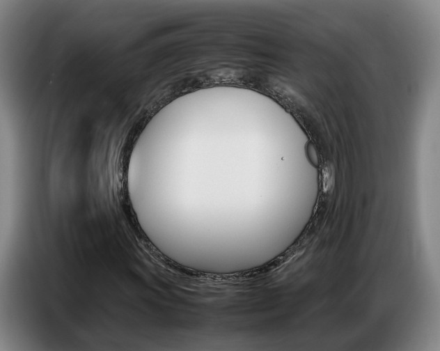 X0000087321011200704200734