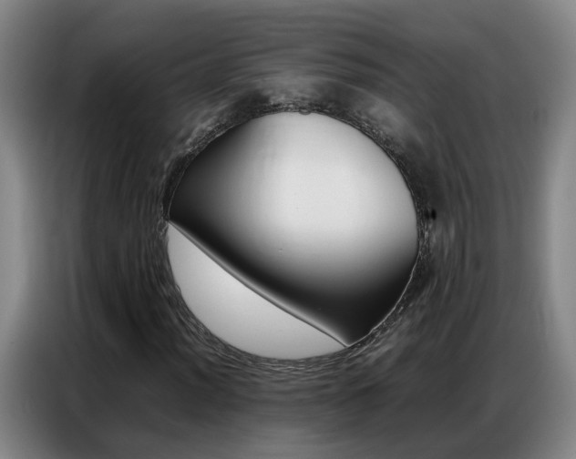 X0000087321012200704200734