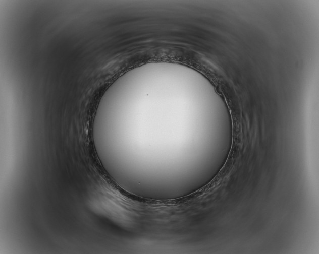 X0000087321013200704200734