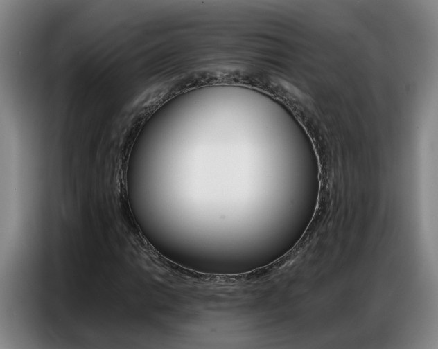 X0000087321014200704200734