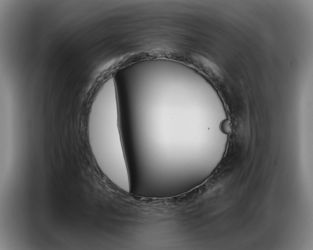 X0000087321016200704200734
