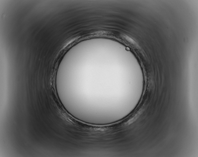 X0000087321017200704200734