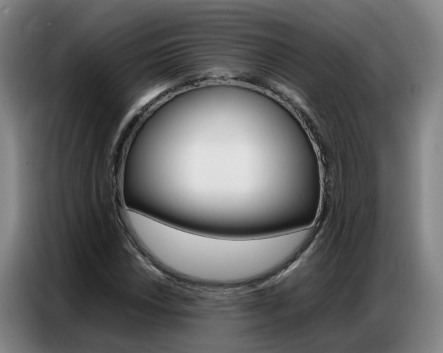 X0000087321018200704200734